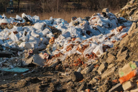 湖北省年回收处理50万吨建筑垃圾综合利用项目可行性研究报告