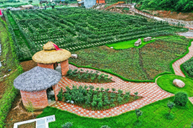 云南省中草药种植观光康养小镇建设项目可行性研究报告