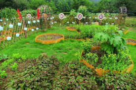 河北省中草药种植康养休闲旅游观光建设项目可行性研究报告