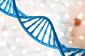 基因重组生物制药基地项目可行性研究报告
