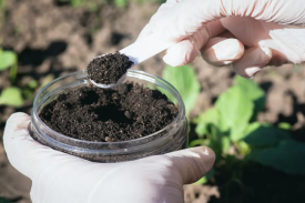 年产10万吨活性改良土壤肥料项目可行性研究报告